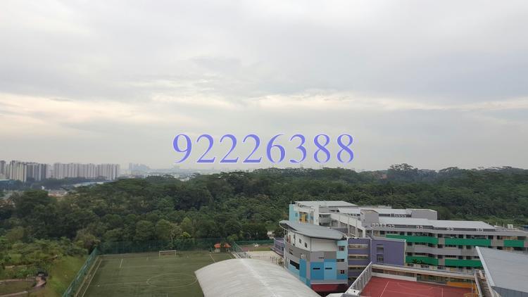 Senja Road thumbnail photo